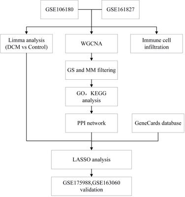 Identification of important modules and biomarkers in diabetic cardiomyopathy based on WGCNA and LASSO analysis